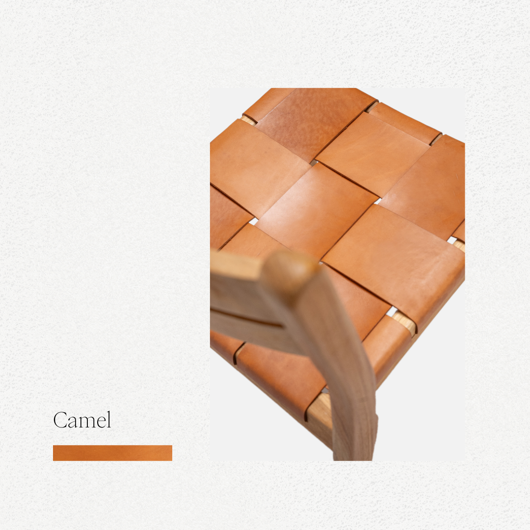 Camel.png