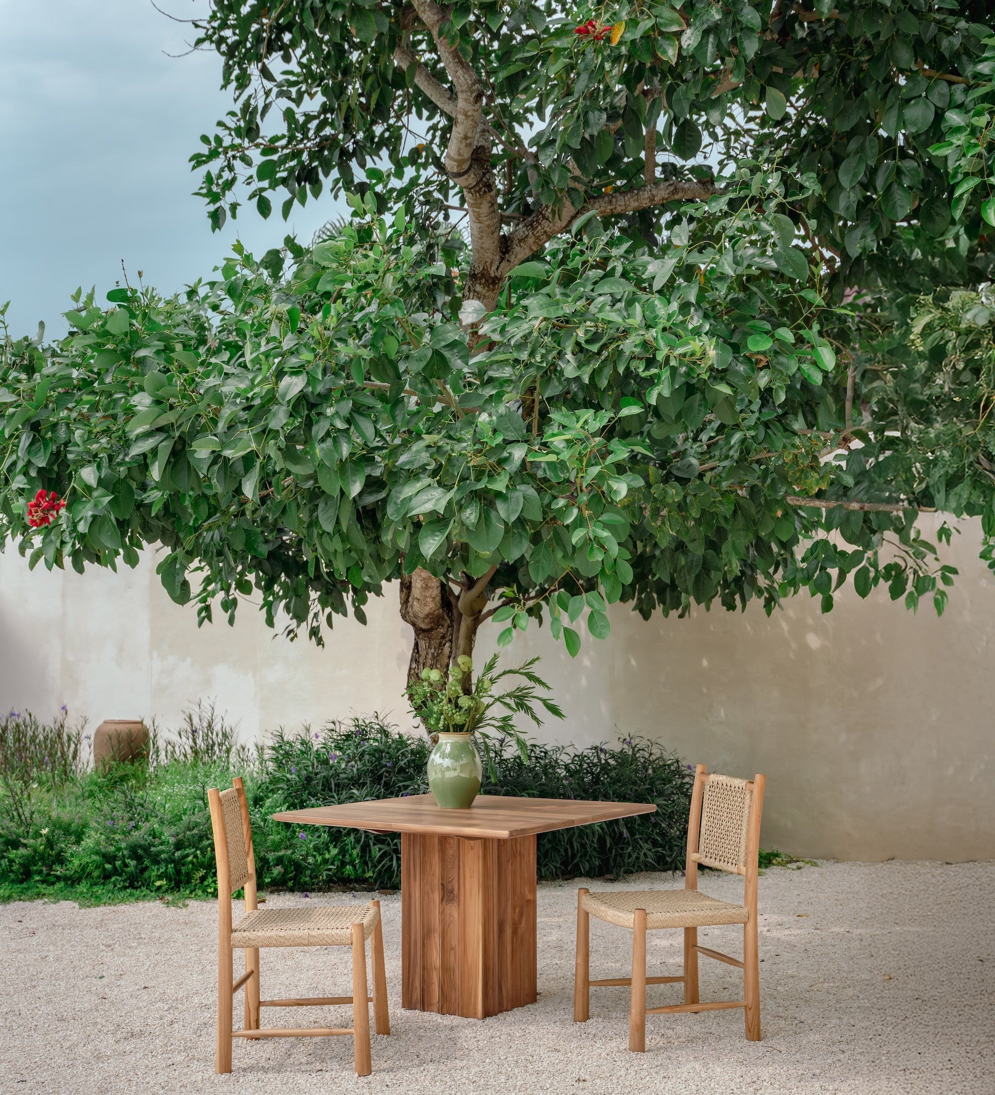 teak table and rattan dining chairs under a green tree