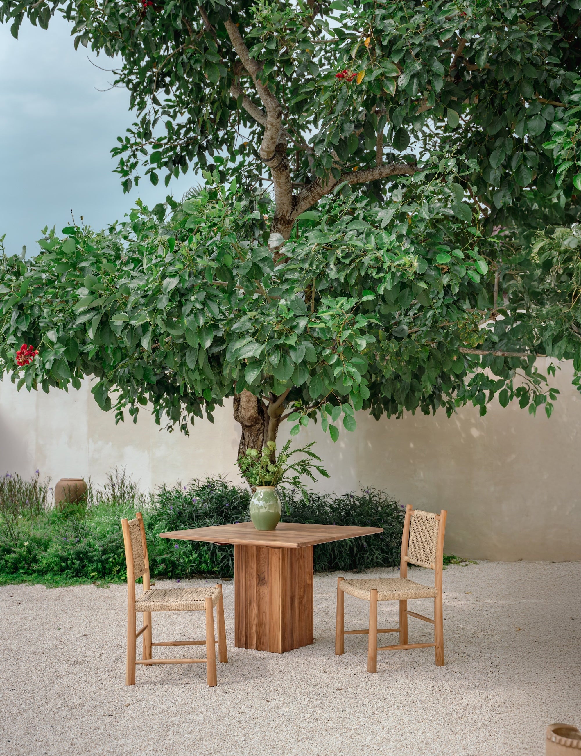 teak table and rattan dining chairs under a green tree