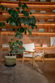 Larisa Teak and Leather Lounge Chair