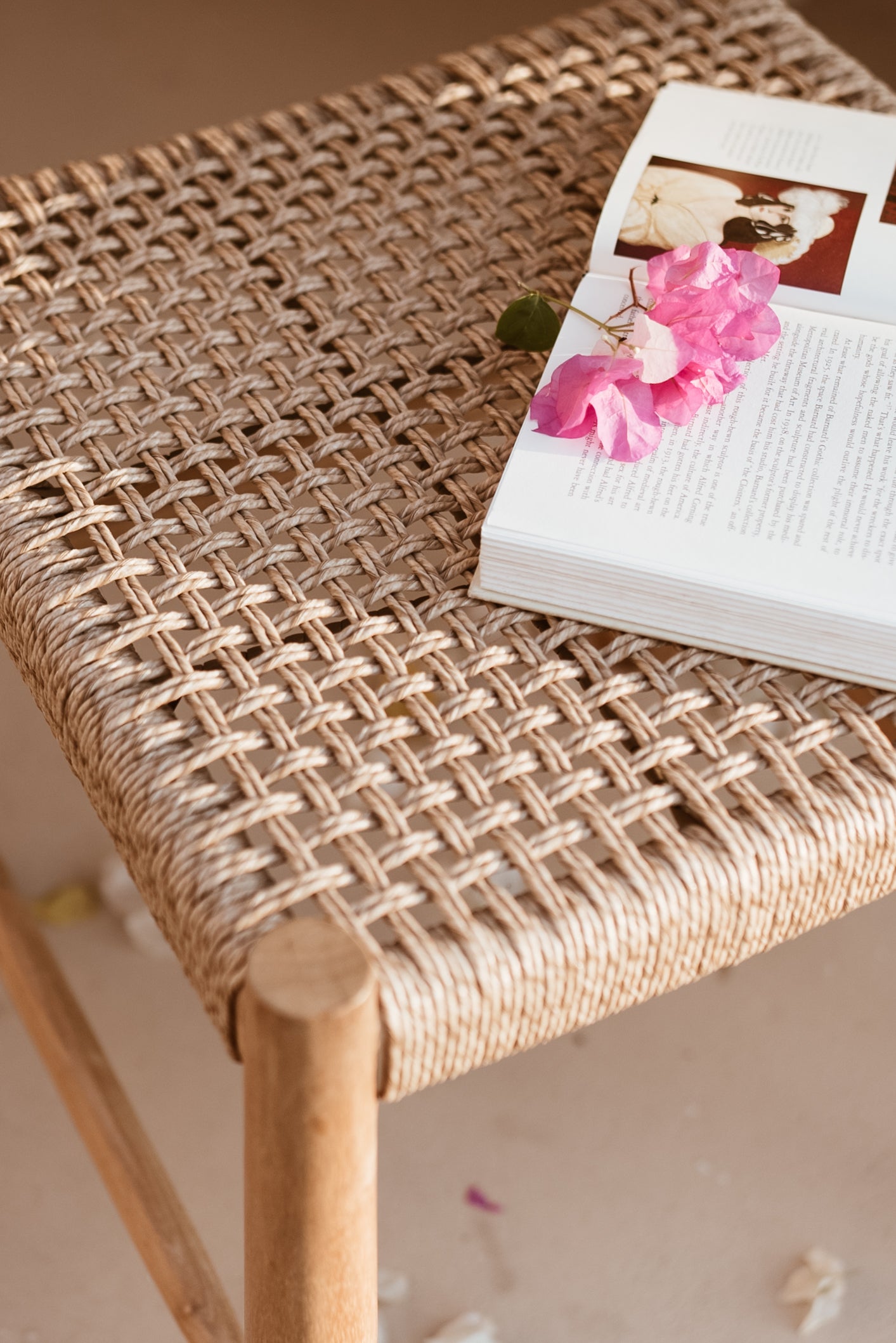 Raya Indoor Outdoor Dining Chair