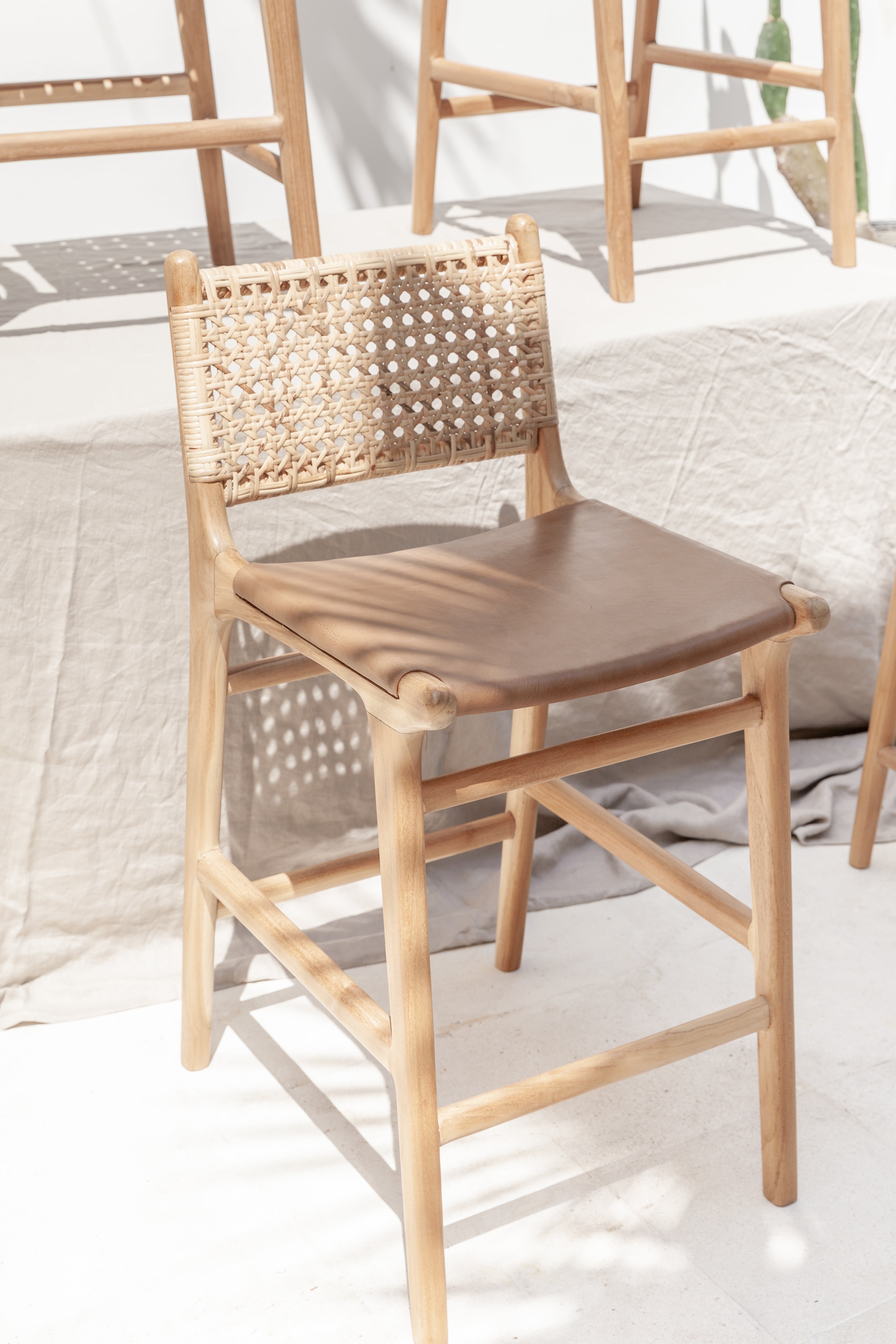 Karina Teak, Rattan & Leather Counter Stool